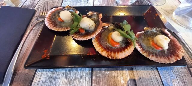 Coquille Saint-Jacques au beurre d'algue