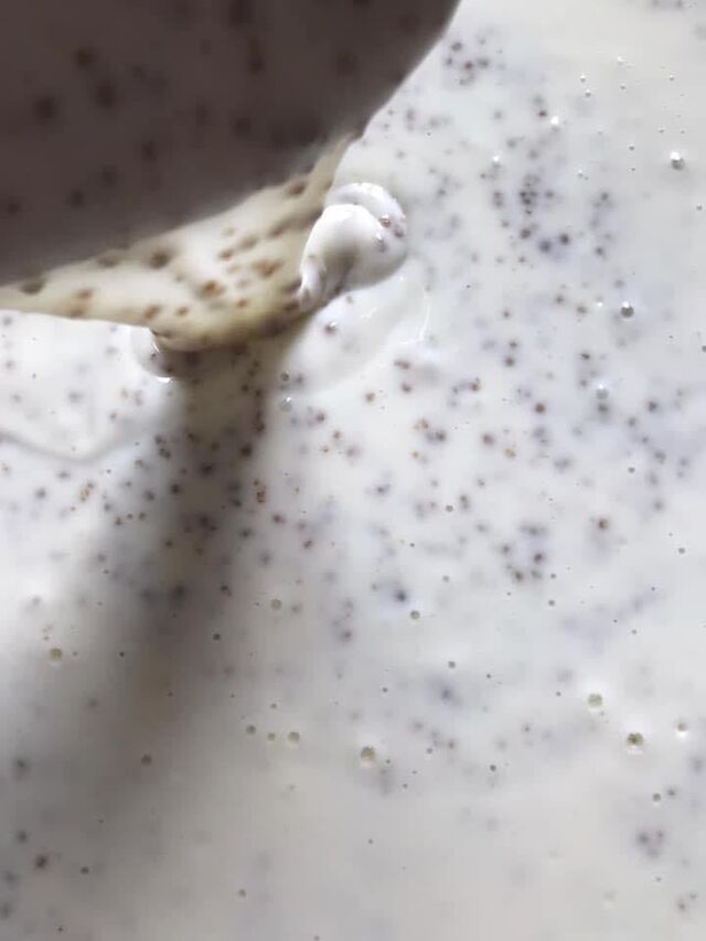 Dêguê a base de semoule de mil et de lait fermenté