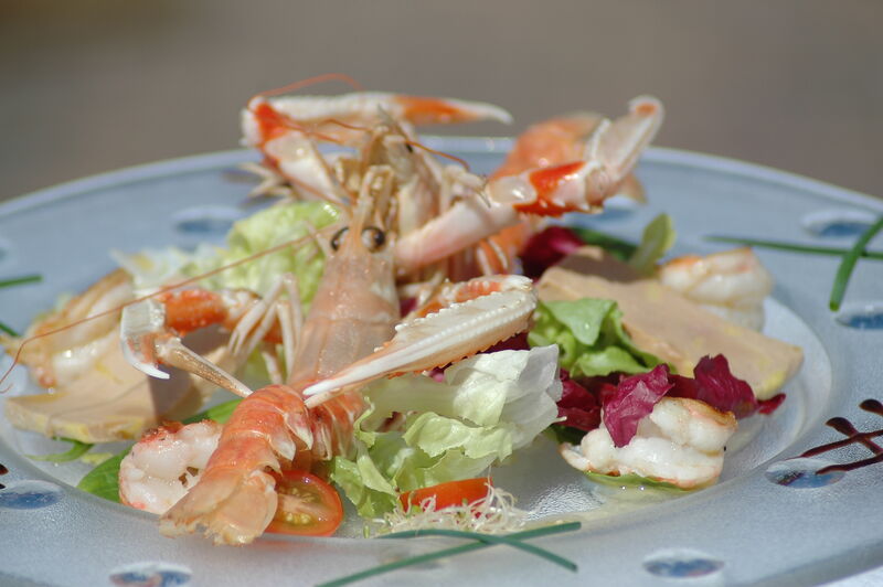 Salade de langoustines et foie gras 