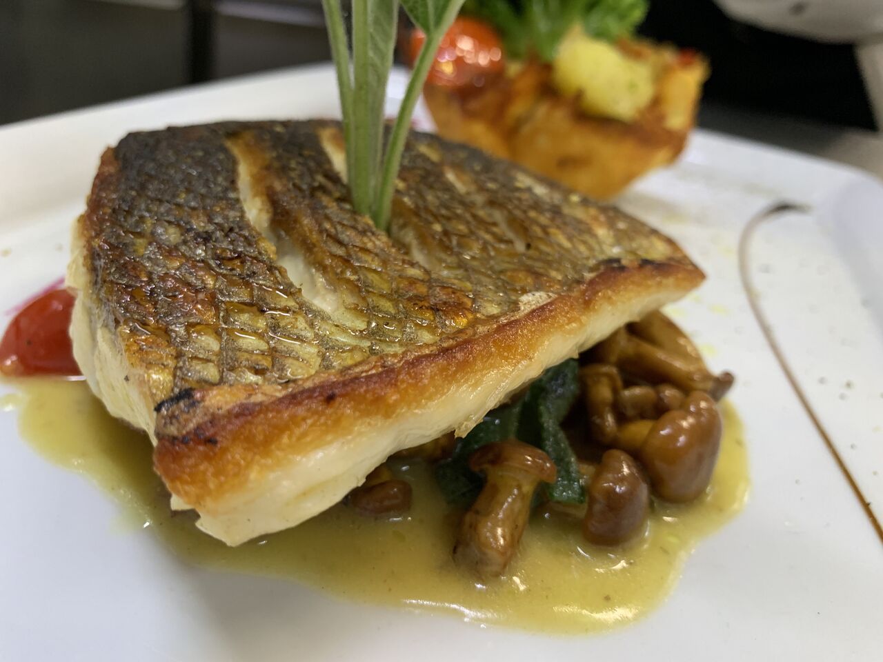 Lupo di Mare Filet mit Pfifferlinge