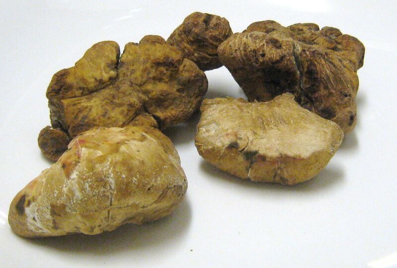 Tartufo Bianco Pregiato (Tuber Magnatum Pico)