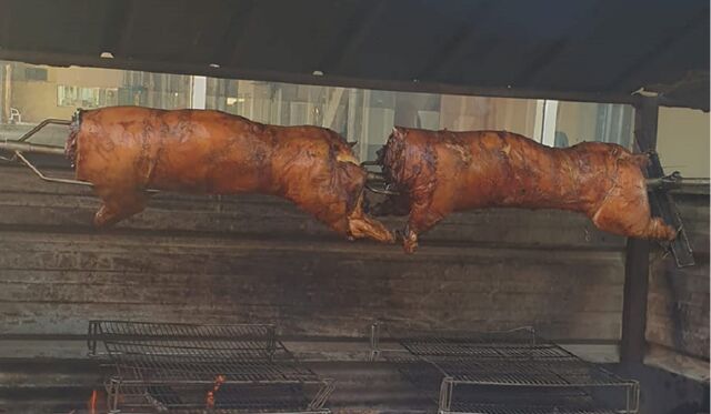 le plus jolie des cochons 