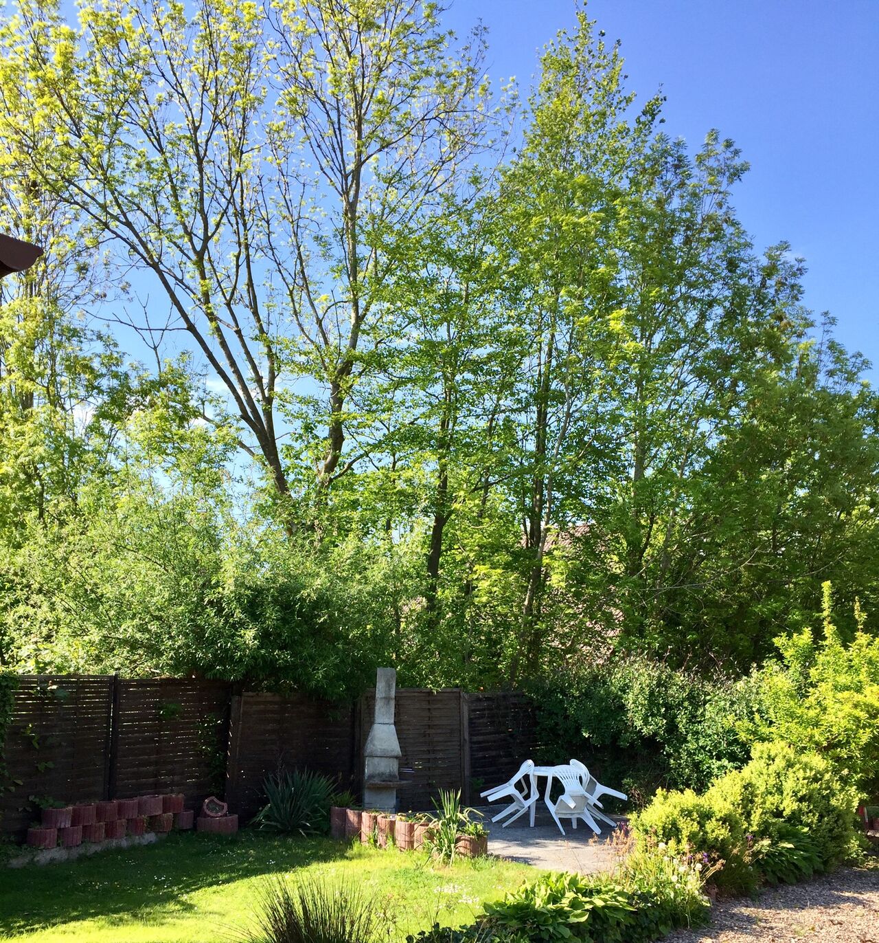 wir haben einen Garten, Grillterrasse, Liegewiese, Parkplatz