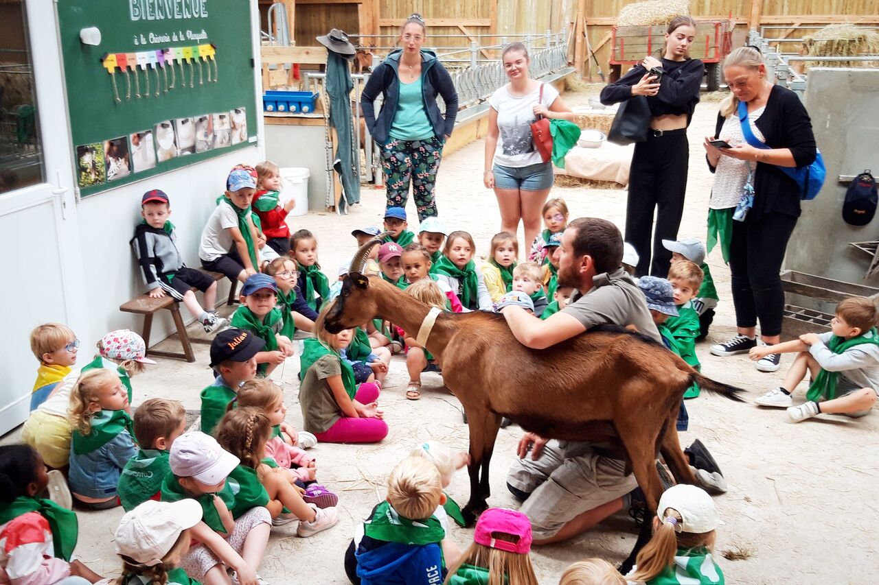 Visite à la demi-journée