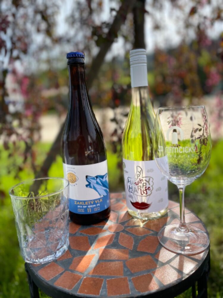 Pivo z mini pivovaru a perlivé víno