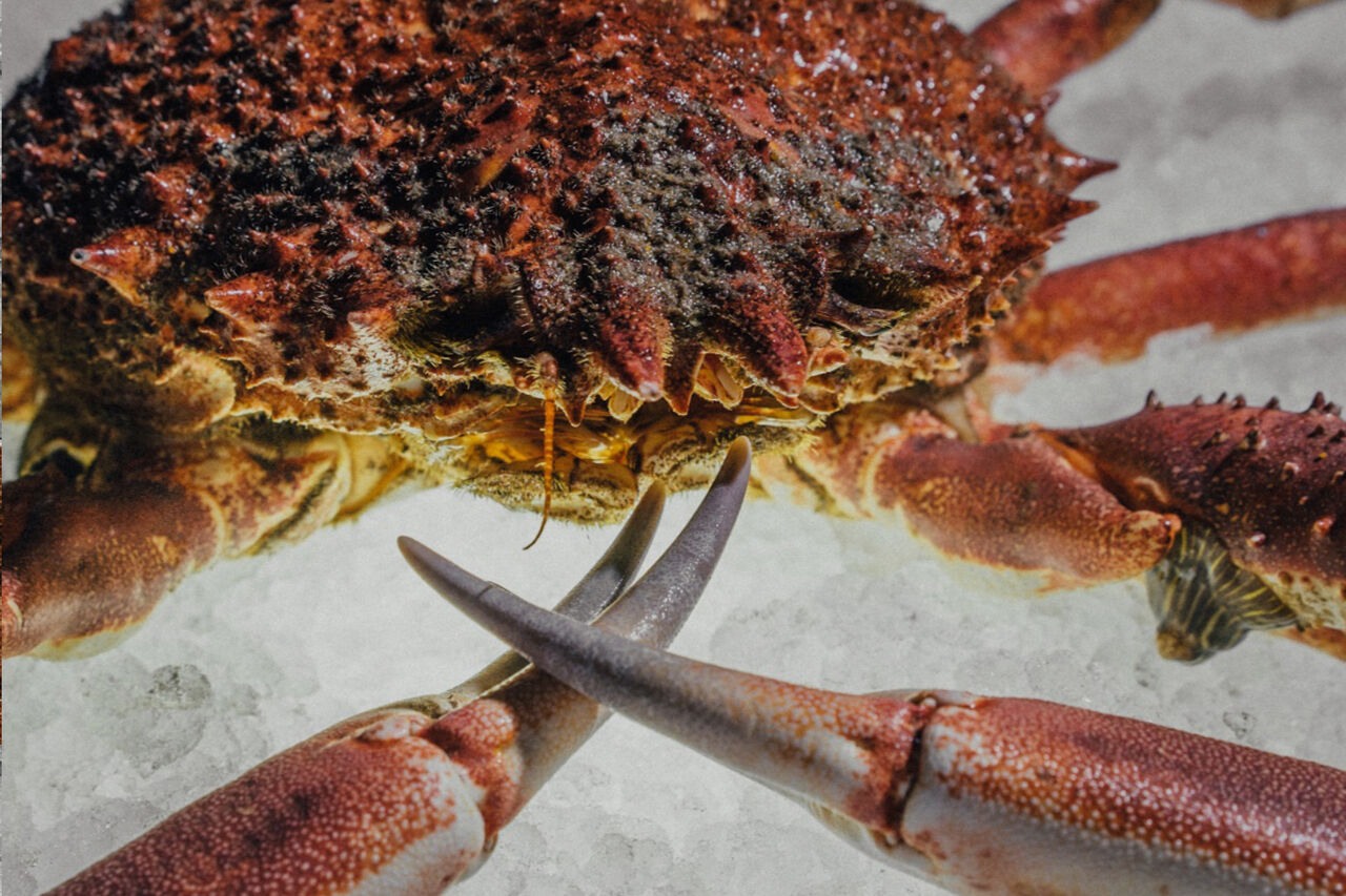 Esplanada Marisqueira