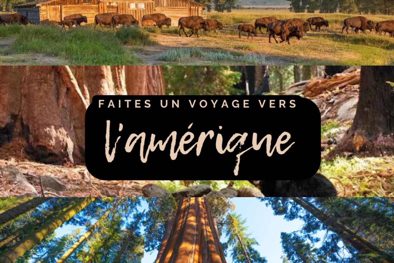 Ouverture prochaine de votre UMAMI food truck