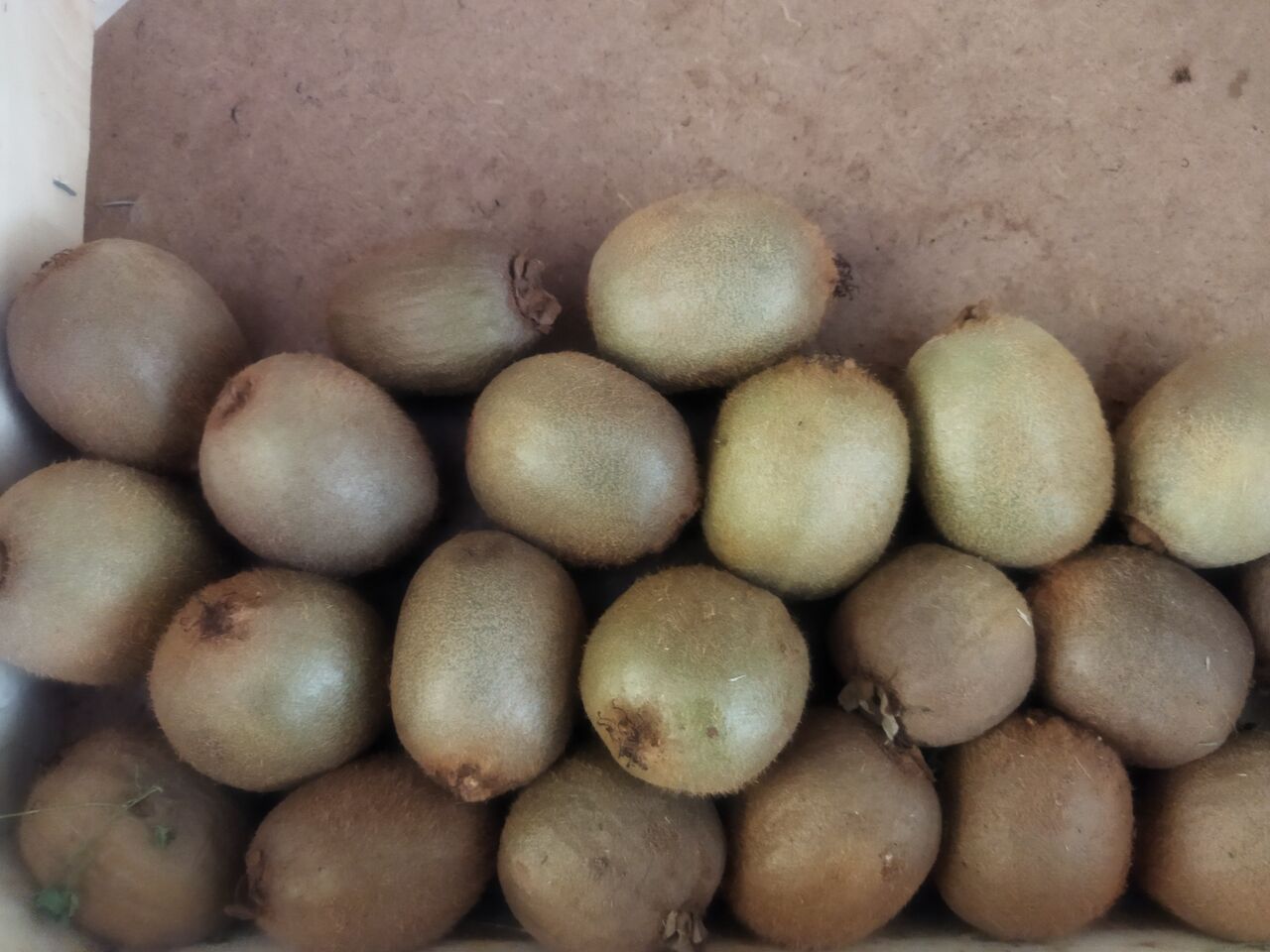 Kiwi vert 1.50€ les 3