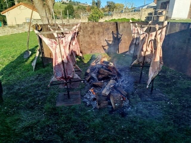 Cordero a la estaca 
