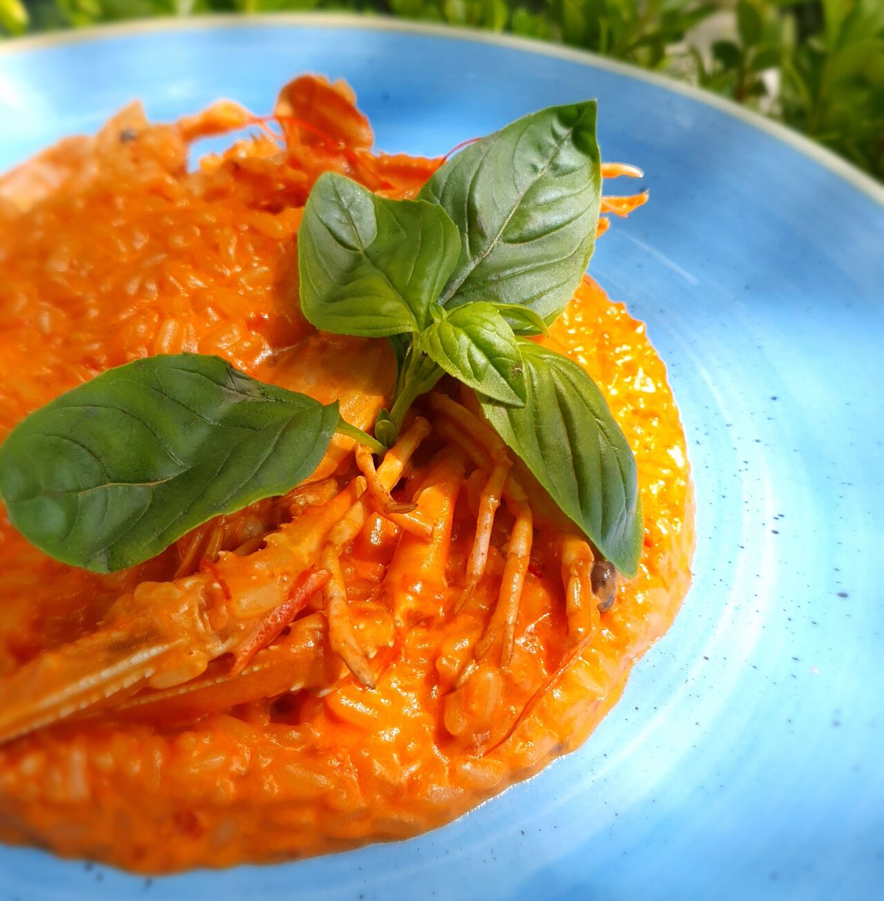 Il risotto alla crema di scampi