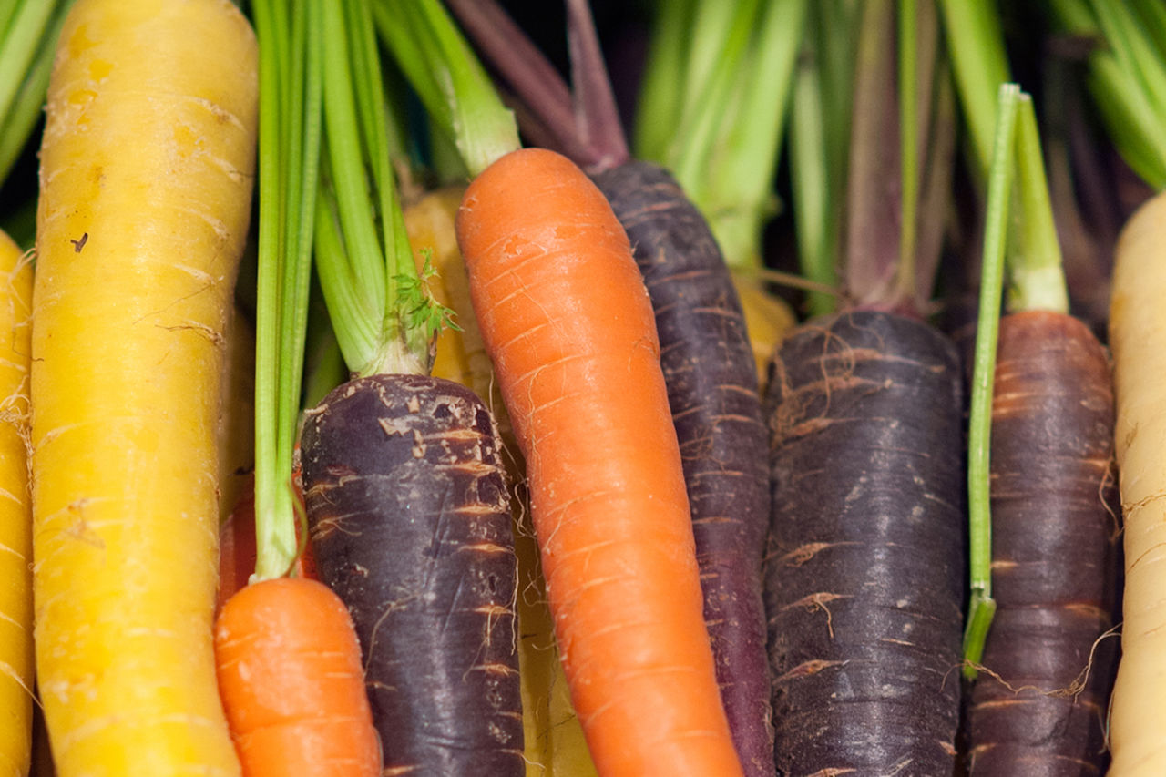FRESH & VEGETABLES
