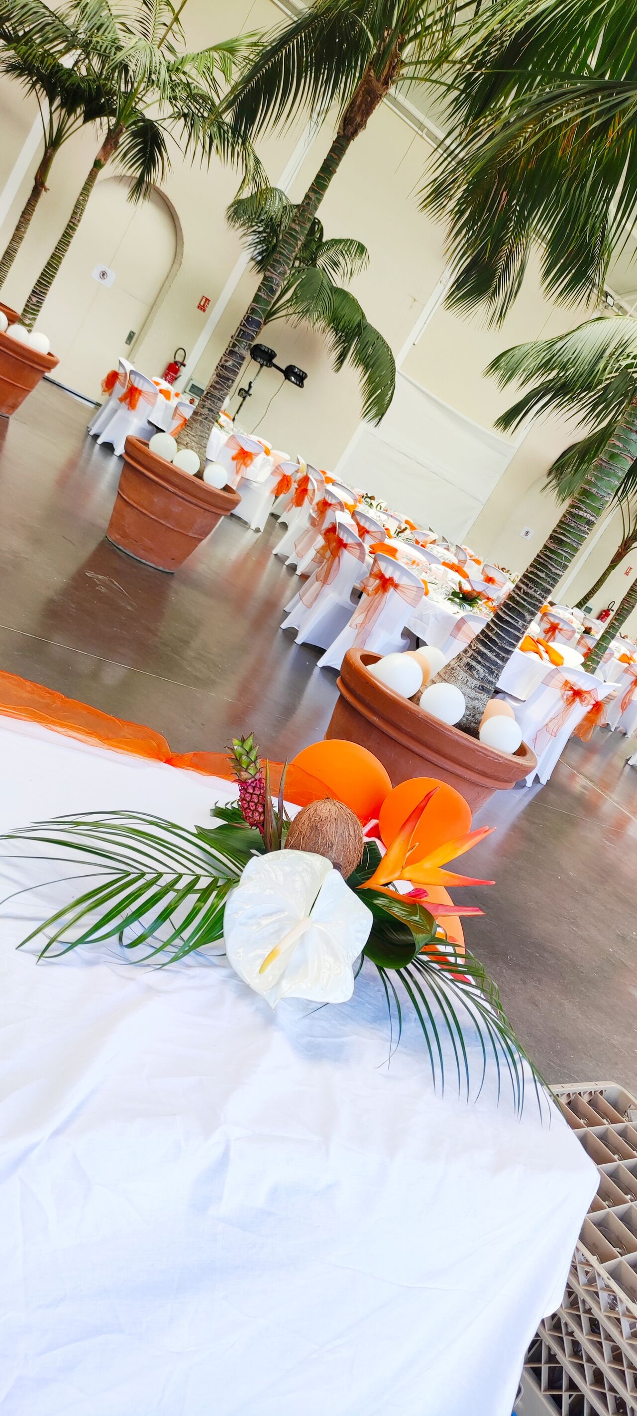 Décoration de salle