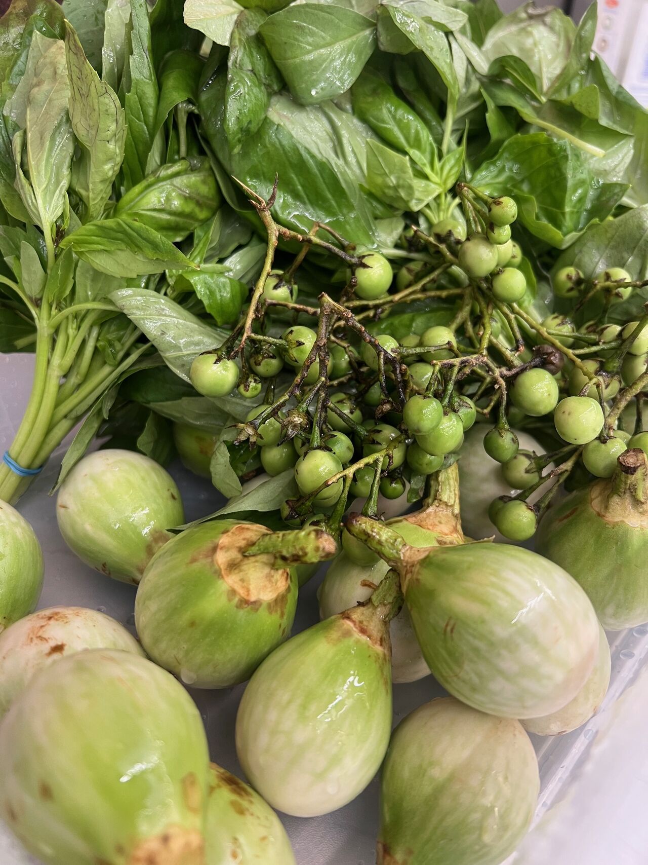 KAENG KIEW WAN, légumes thaï, aubergines basilic et mini aubergines