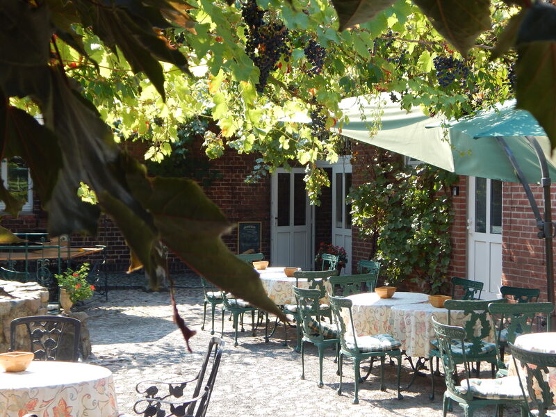 traumhaft - die weinberankte Terrasse mit Biergarten