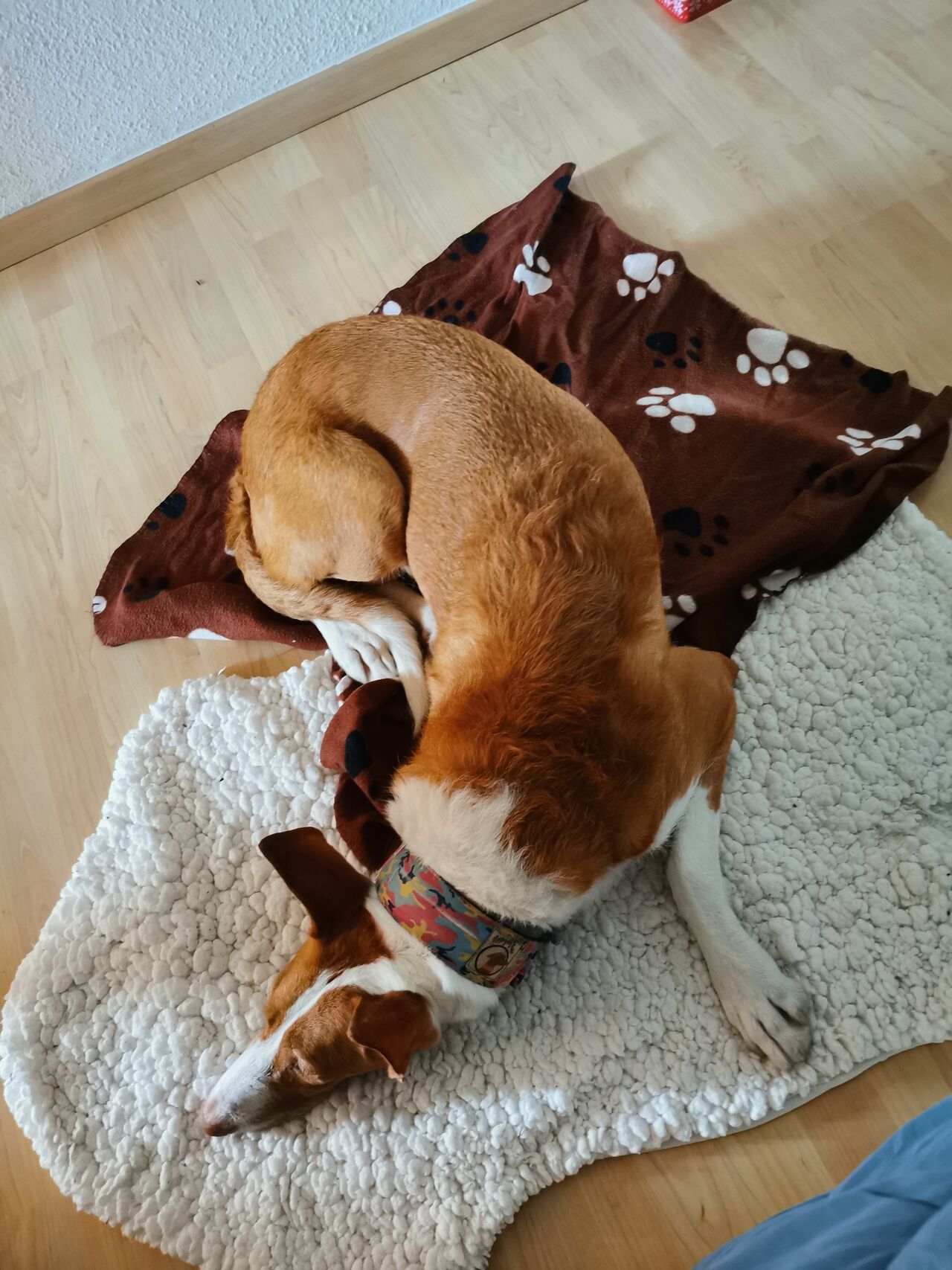 Olvido cómoda en casa 😉