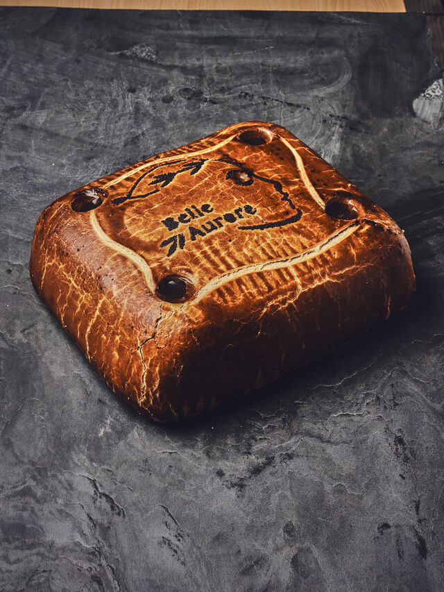 Oreille de la Belle Aurore