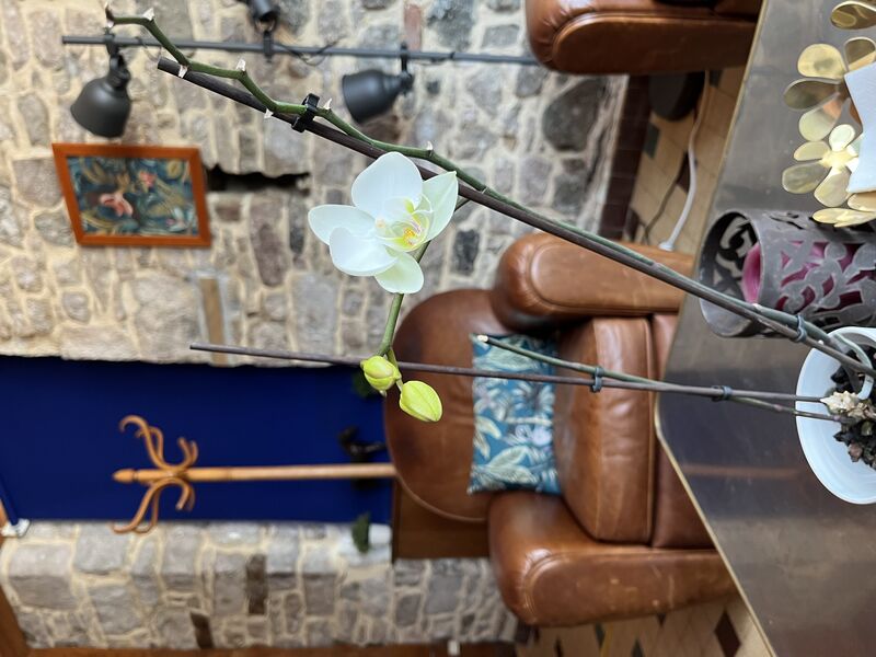 La récompense de la patience 