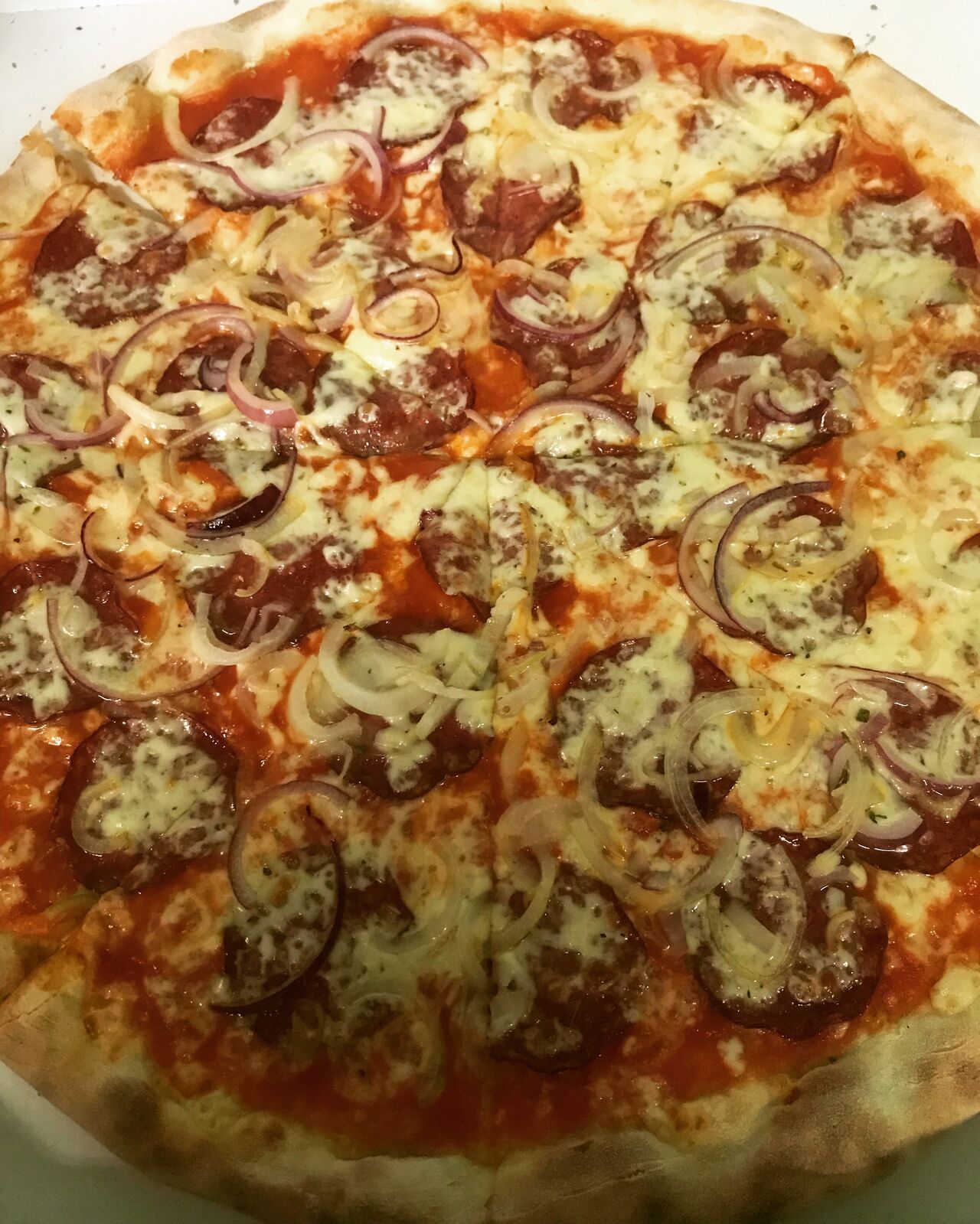 10.Salámová s cibulí