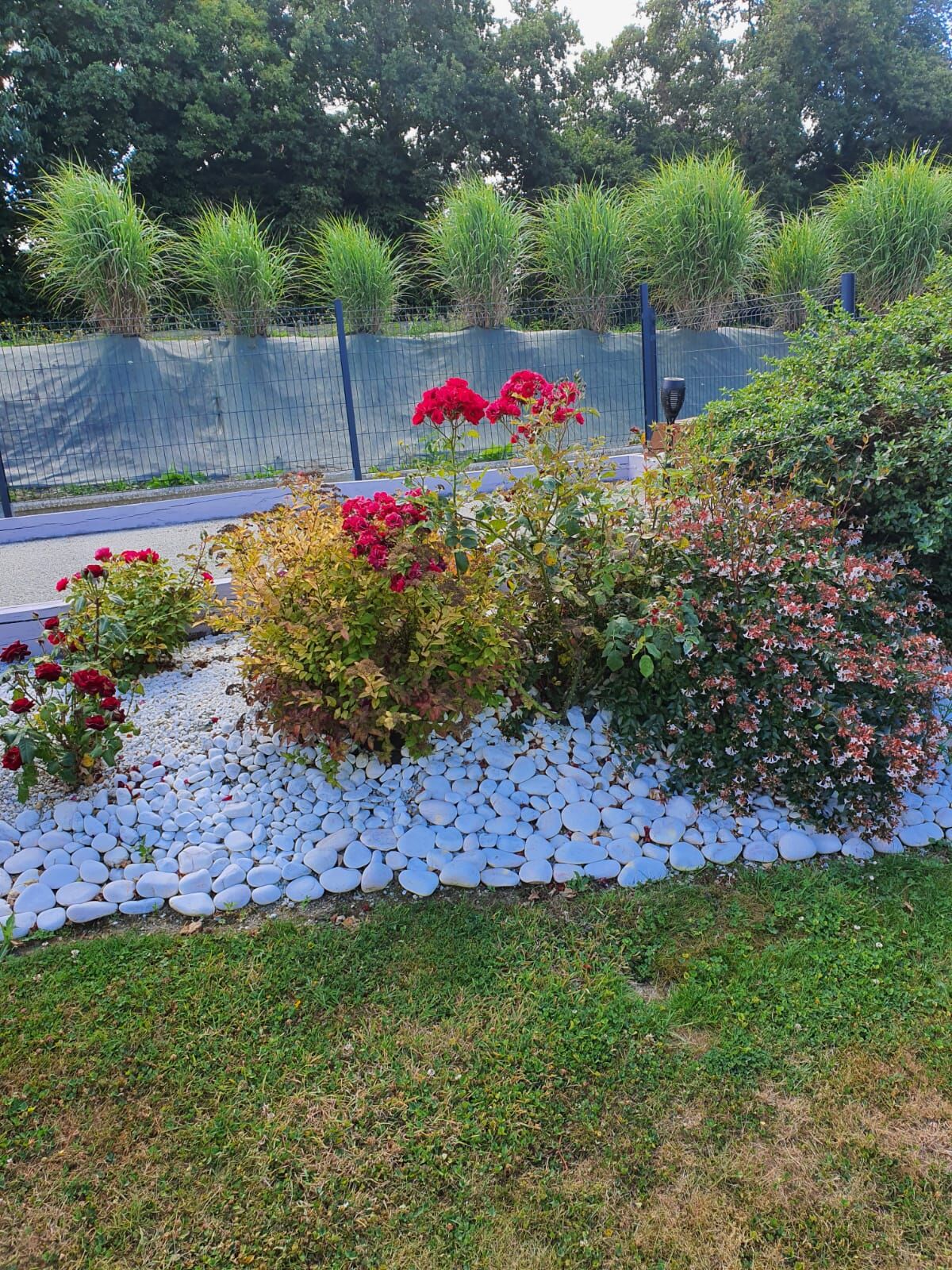 La vue sur la terrasse 