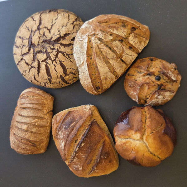 Mardi - Spéciaux du mardi: Tourte de seigle - Raisins-noisettes