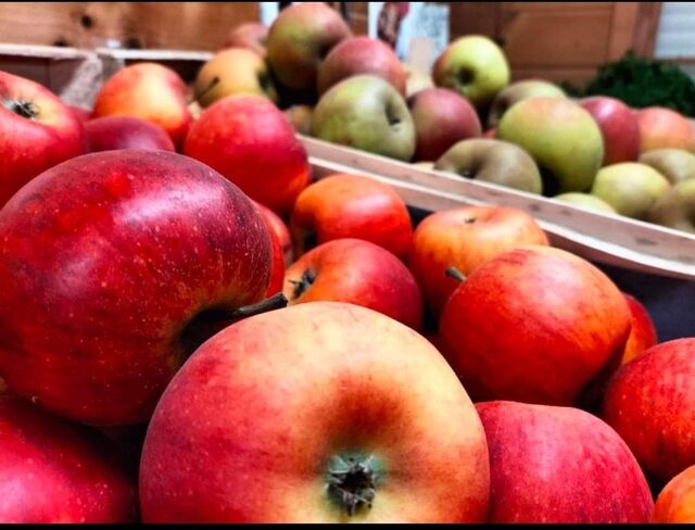 Fruitier du Mesnil - Disponible selon la saison