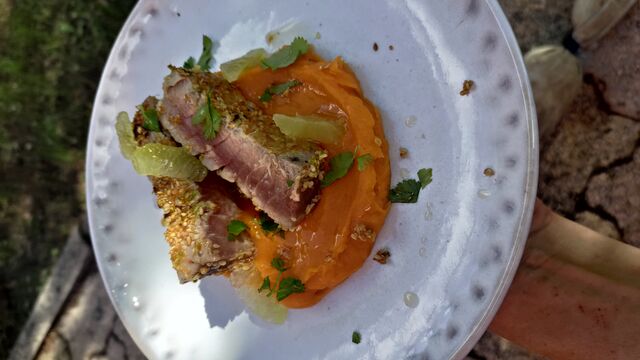 Thon mi-cuit au sésame, purée de patate douce du jardin
