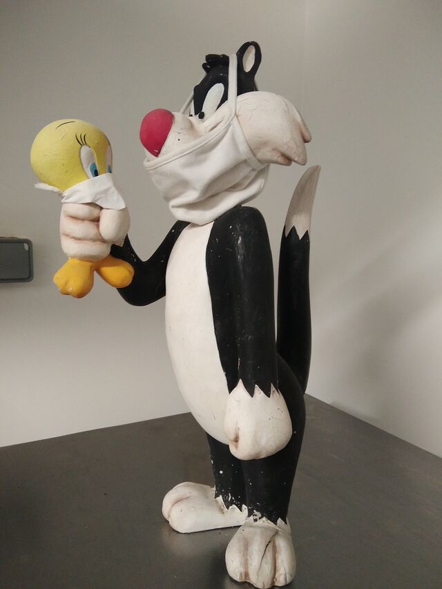 Strict respect des règles sanitaires 😷