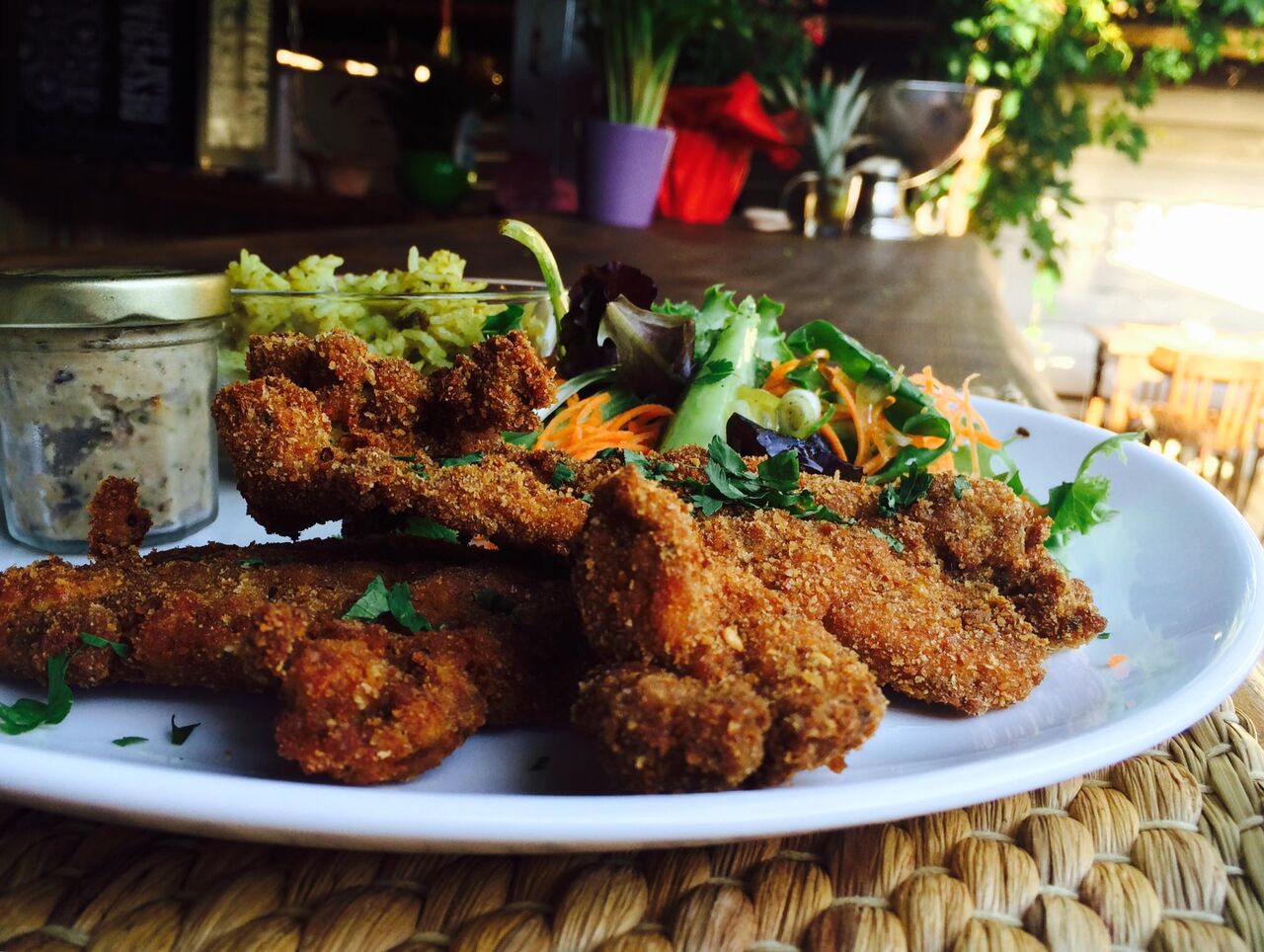 Catless de Poulet