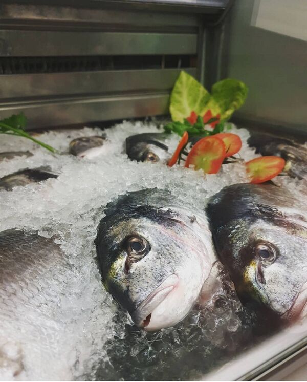 A qualidade e a frescura algo que priorizamos!