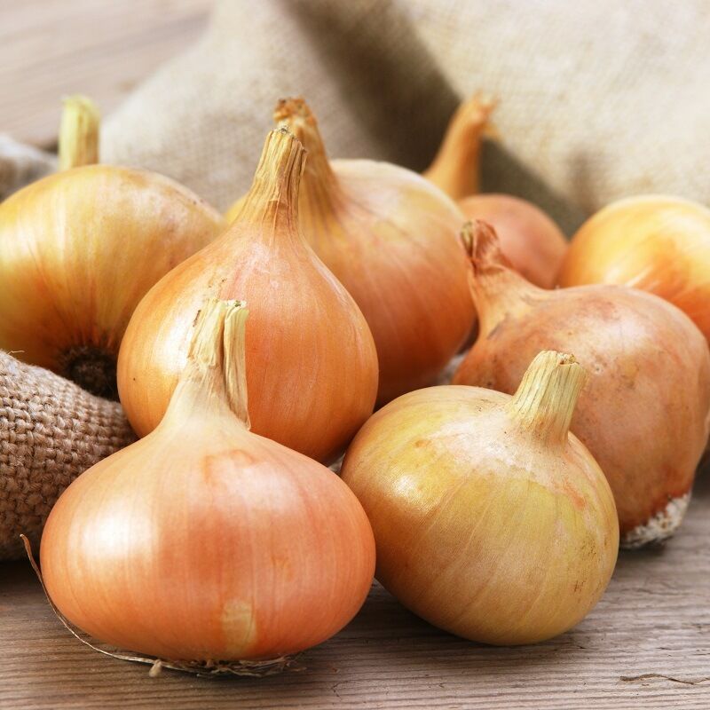 Oignons jaunes - 1,00€/kg