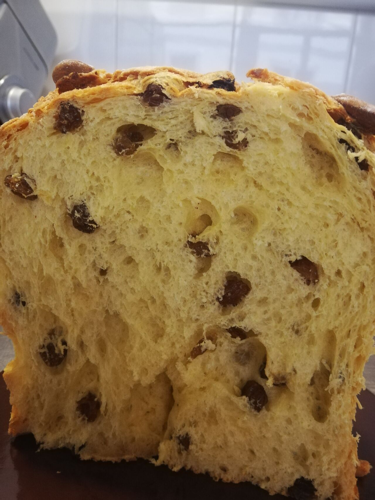 Panettone 