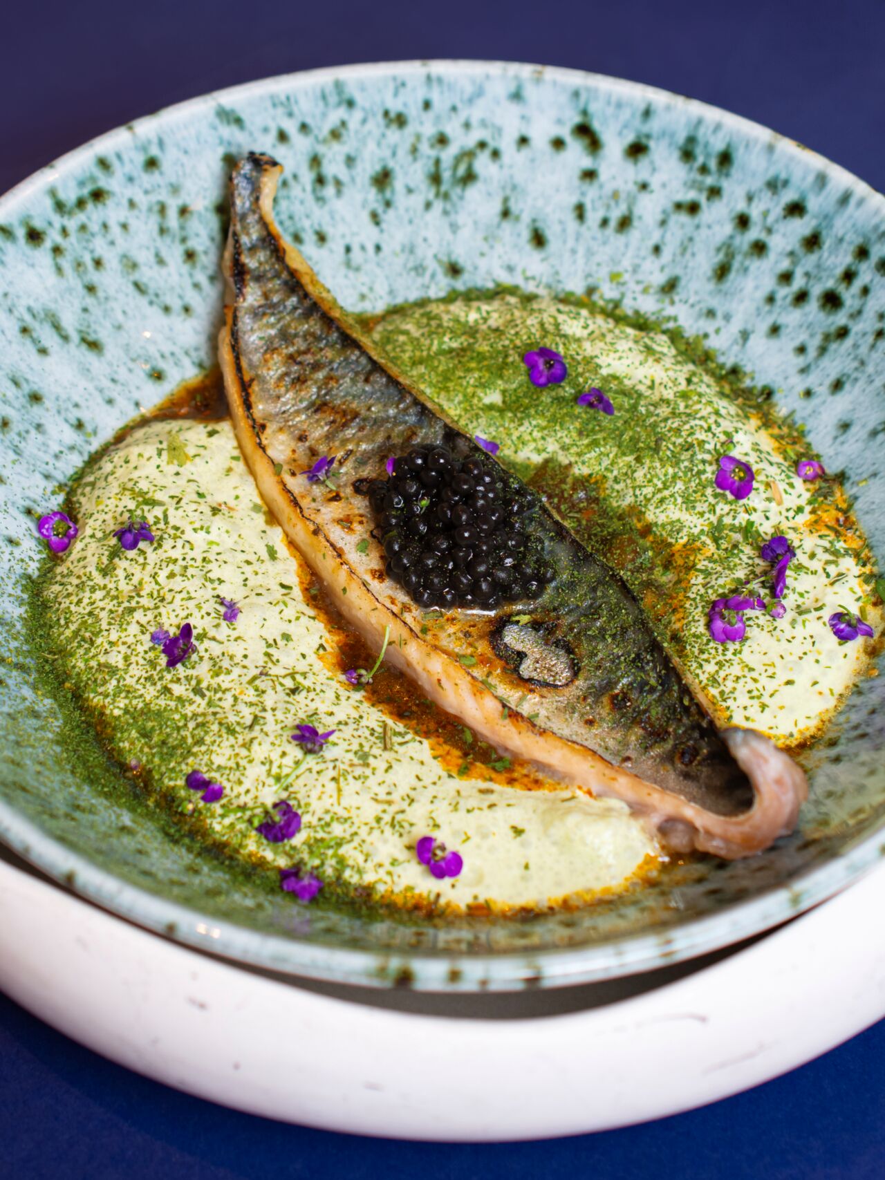 Maquereau flambé au chalumeau