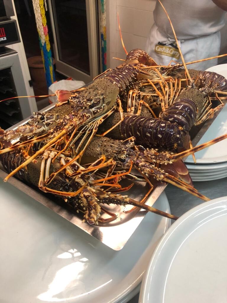 Pesce fresco tutti i giorni