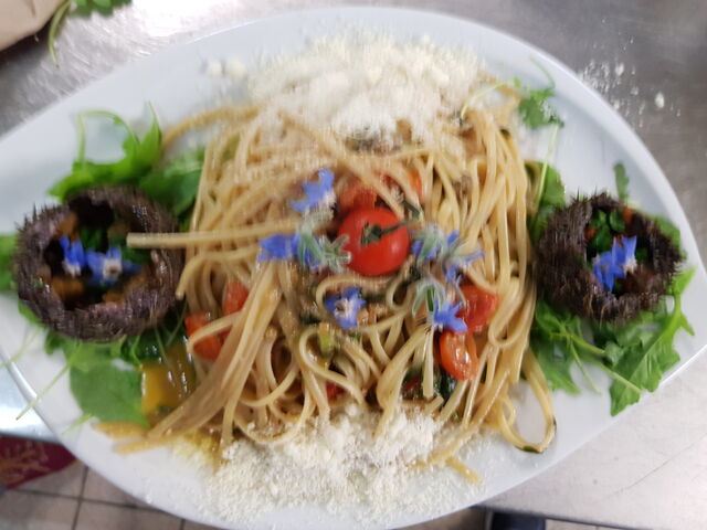 Linguine aux oursins de mer