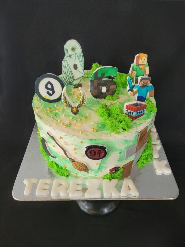 Dort Harry Poter a Minecraft