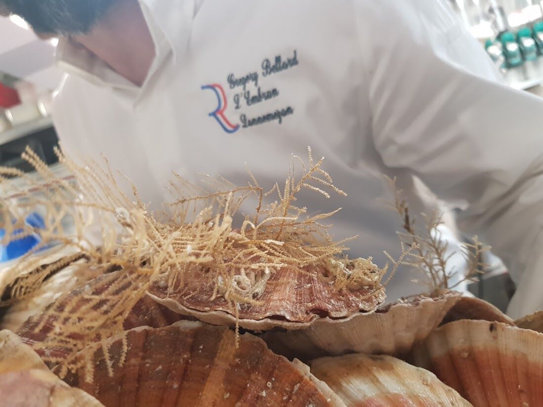 Encore un belle arrivage de noix de Saint Jacques
(2020)
