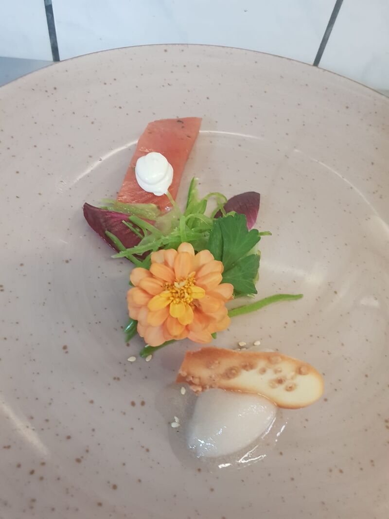 Gebeizte Lachsforelle | Trester-Sorbet