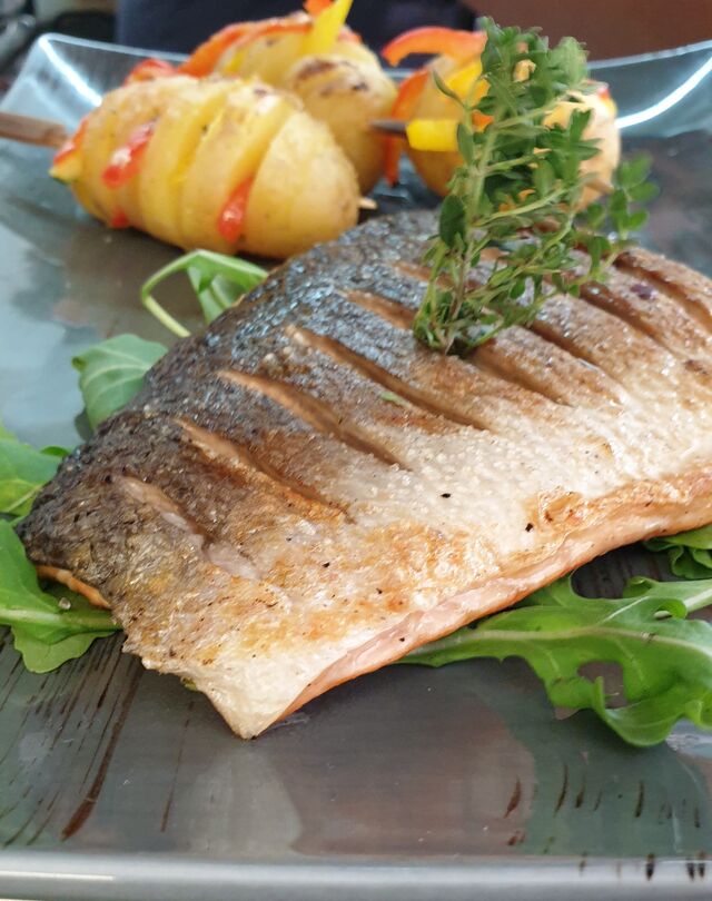 Lachsfilet auf der Haut gebraten auf Rucola mit Hasselback Kartoffeln 