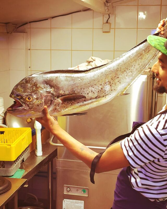 Dorade Coryphène Fraîche