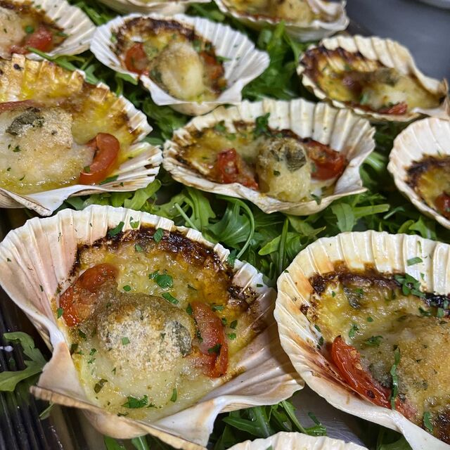 Vorspeise Fischplatte