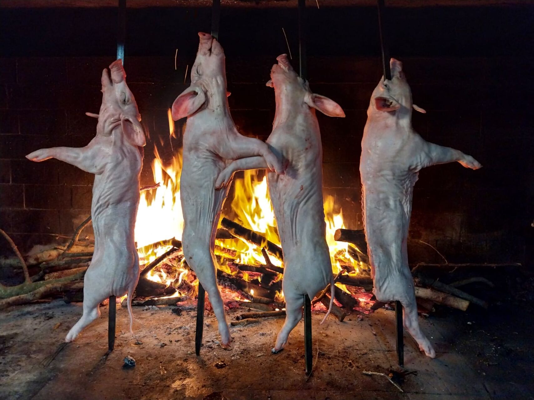 Scopri la Vera Essenza della Cucina Sarda