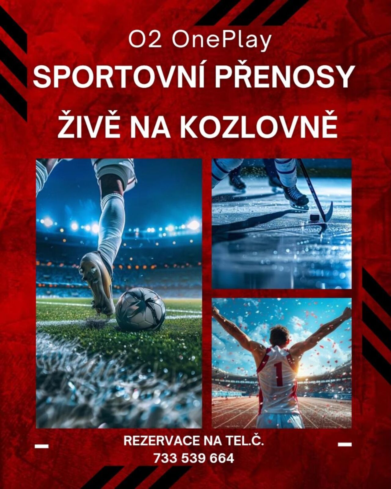 SPORTOVNÍ PŘENOSY ŽIVĚ