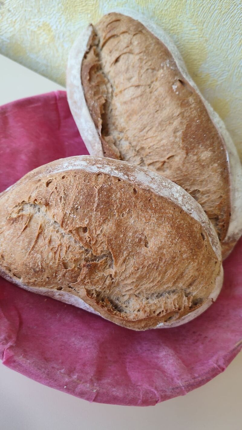 Pain de campagne (pain à la farine de blé et de seigle) en petit et grand modèle