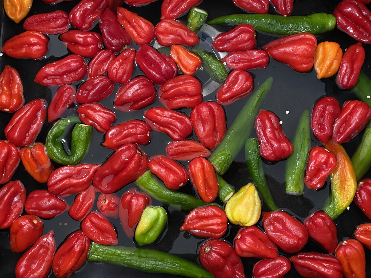 Piments pour la préparation des sauces