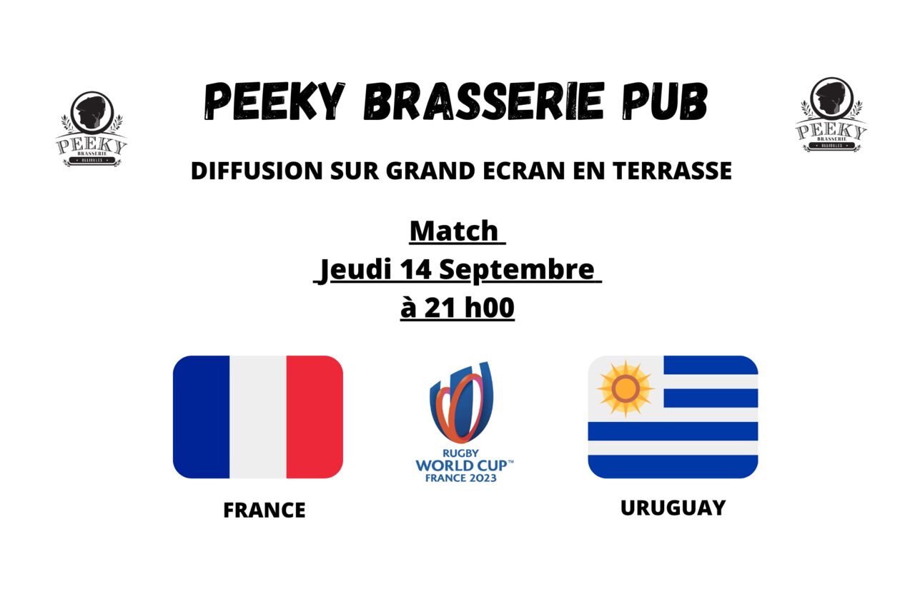 MATCH FRANCE / URUGUAY