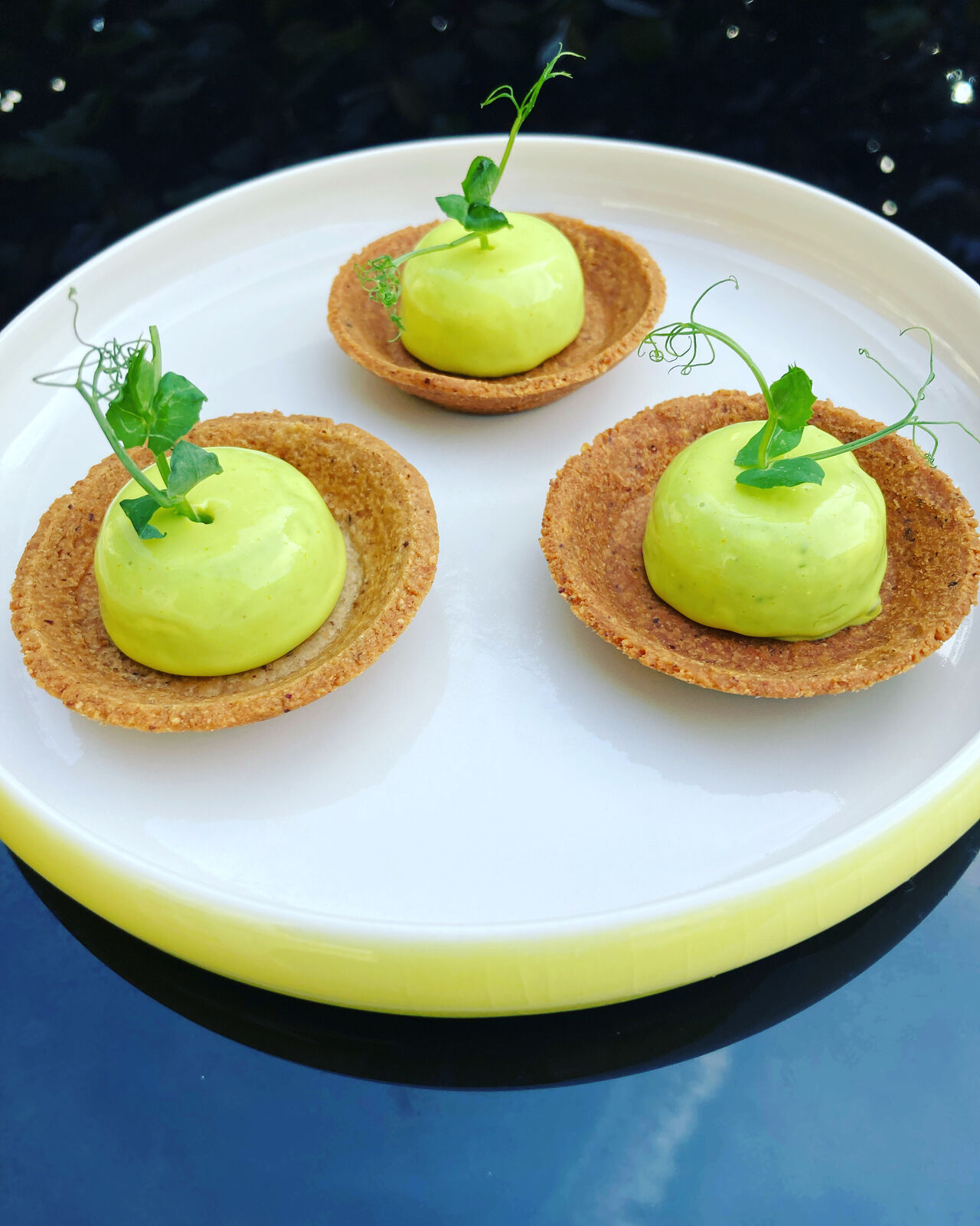 Crème d’avocat, sablé noisette