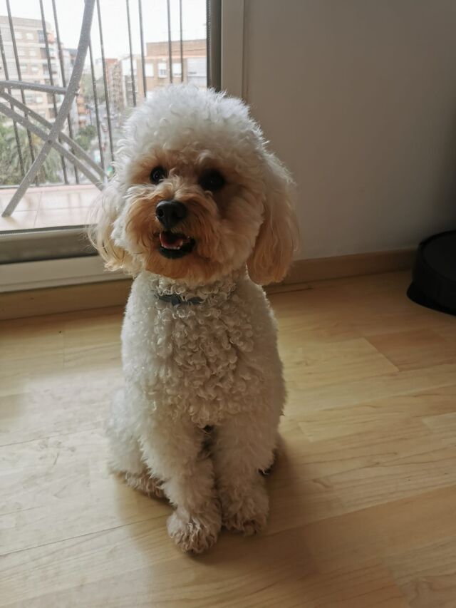 Hola yo soy Coco 😉😁