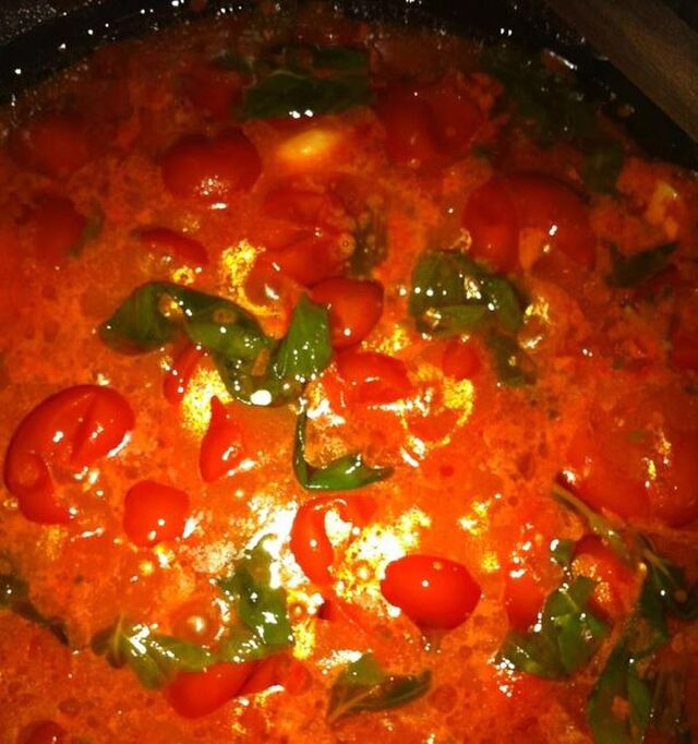 Sauce tomates fraîches basilic
