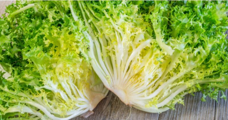 Salade frisée - 2,41€