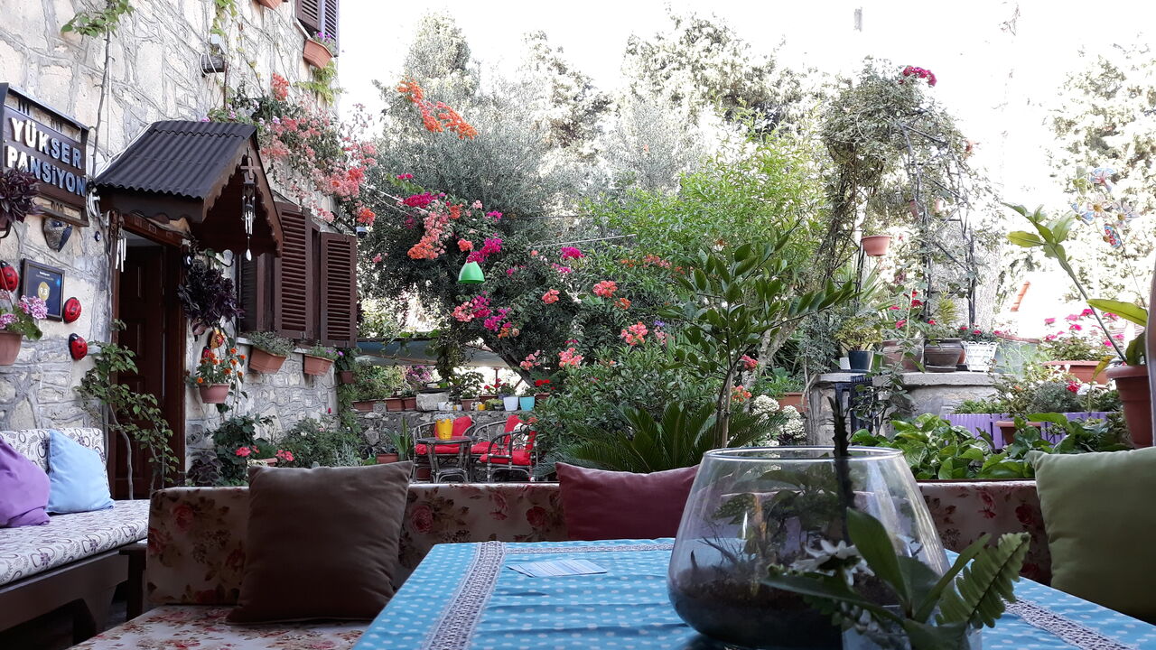 Yükser PANSİYON bahçe 